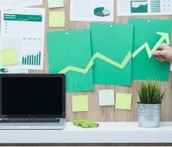 Live Data Reporting for Organisations