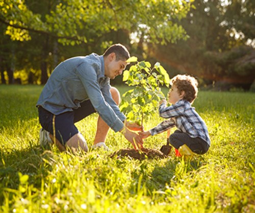 The Positive Impact of COVID on our Environment