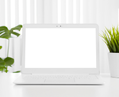 Webinars/Seminars 